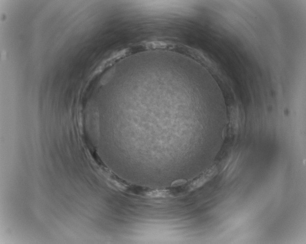 X0000066510761200603201258