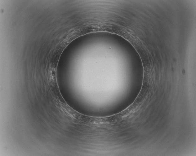 X0000066510770200603201257