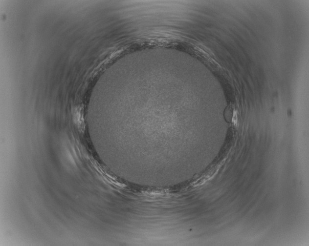 X0000066510771200603201257