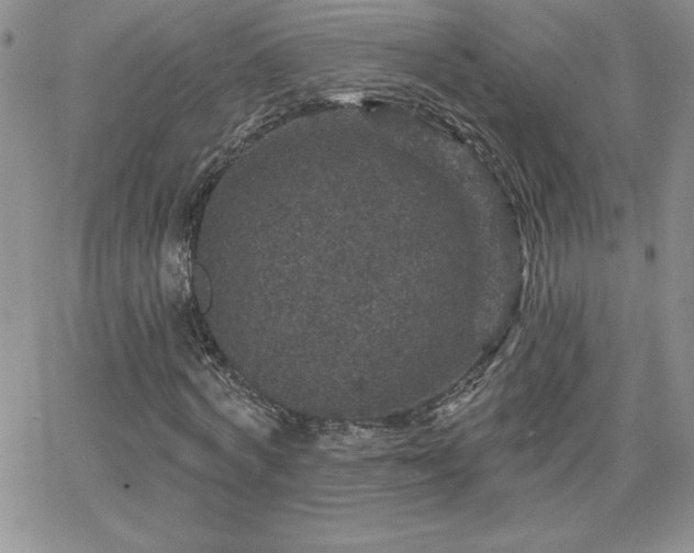 X0000066510772200603201257