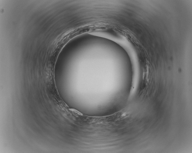 X0000066510773200603201257