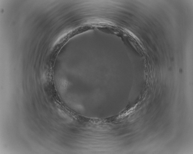 X0000066510775200603201257