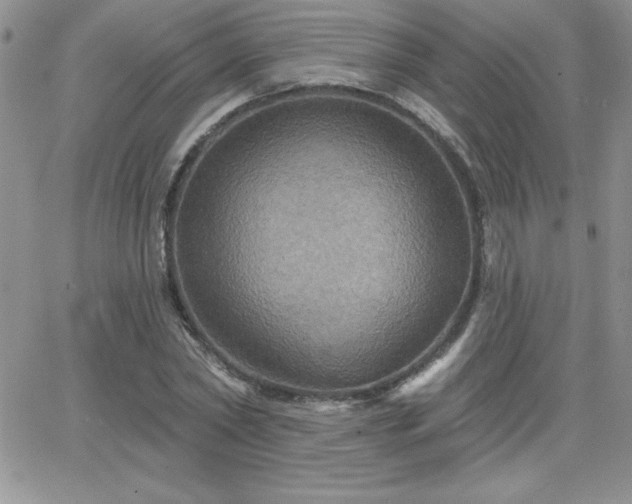 X0000066510782200603201257