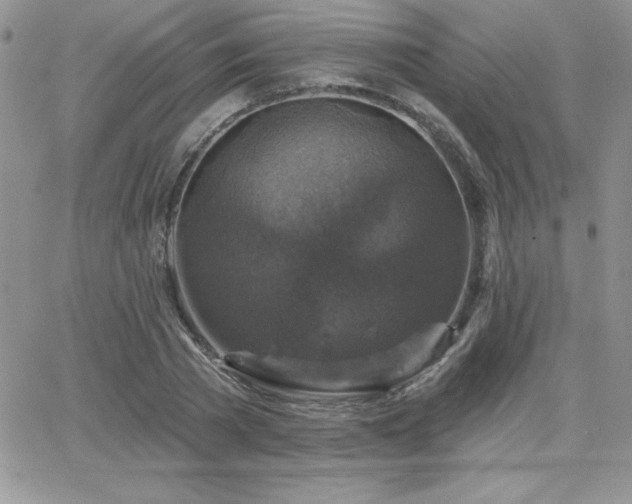 X0000066510785200603201257