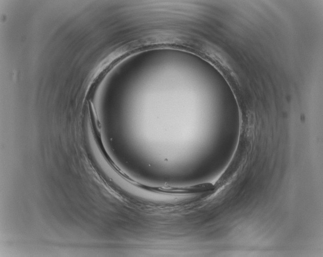 X0000066510786200603201257