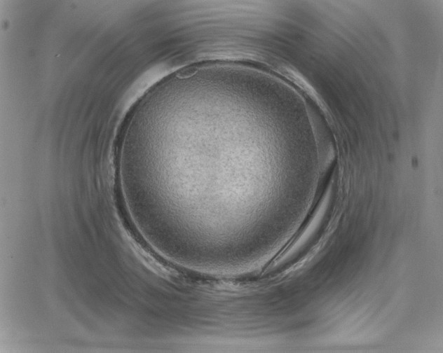 X0000066510787200603201257