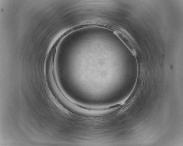 X0000066510788200603201257