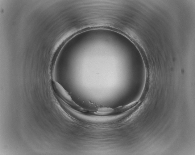 X0000066510789200603201257