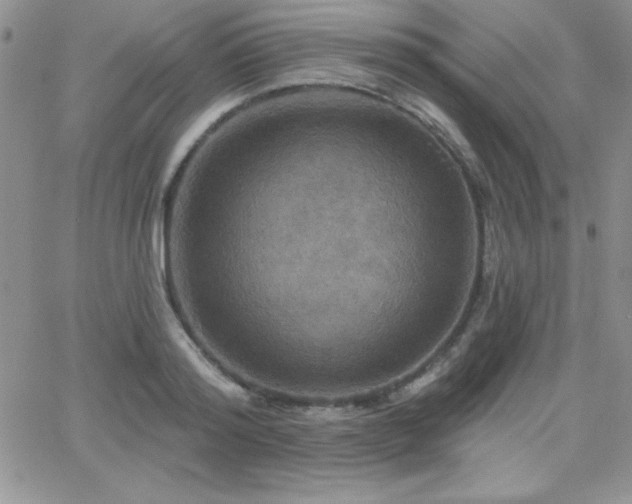 X0000066510796200603201257