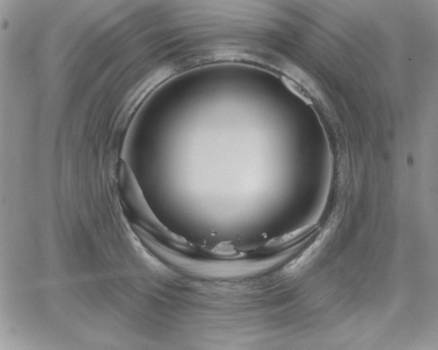 X0000066510801200603201257