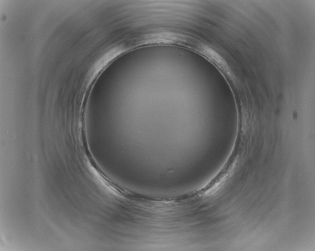 X0000066510802200603201257