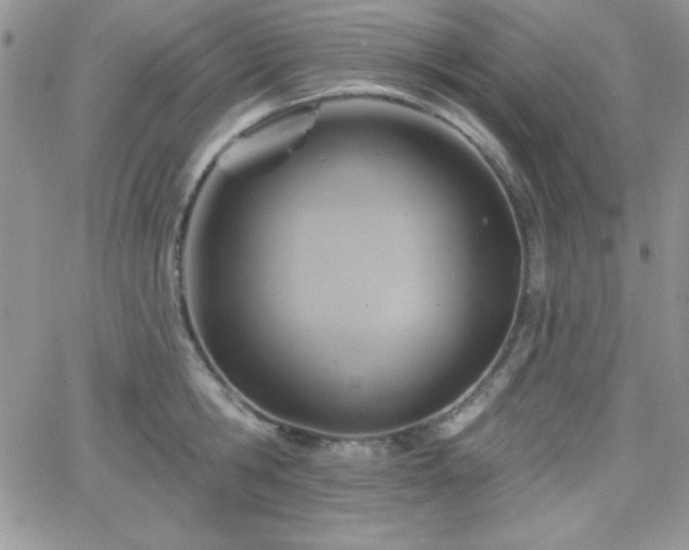 X0000066510806200603201257