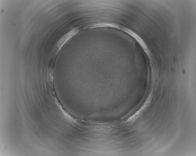 X0000066510809200603201257