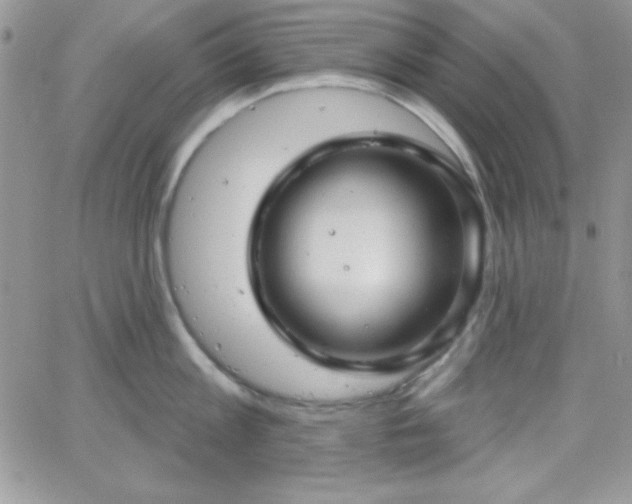 X0000066510813200603201257