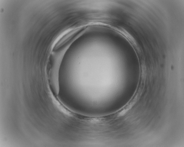 X0000066510814200603201257