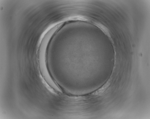 X0000066510816200603201257