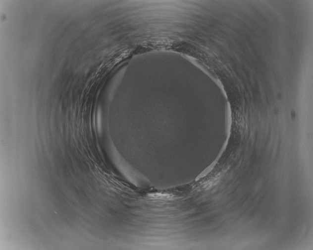 X0000066510818200603201256