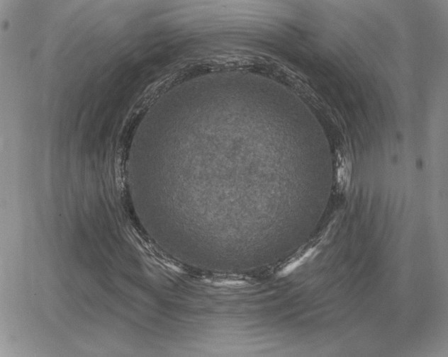 X0000066510819200603201256