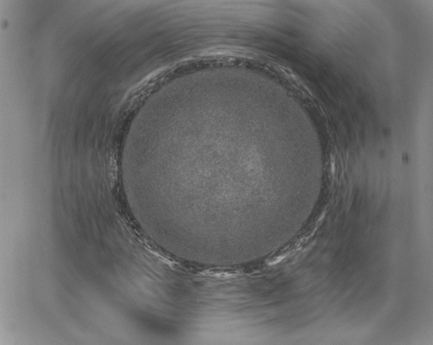 X0000066510821200603201256