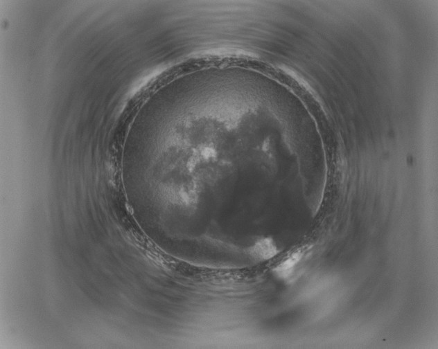 X0000066510823200603201256