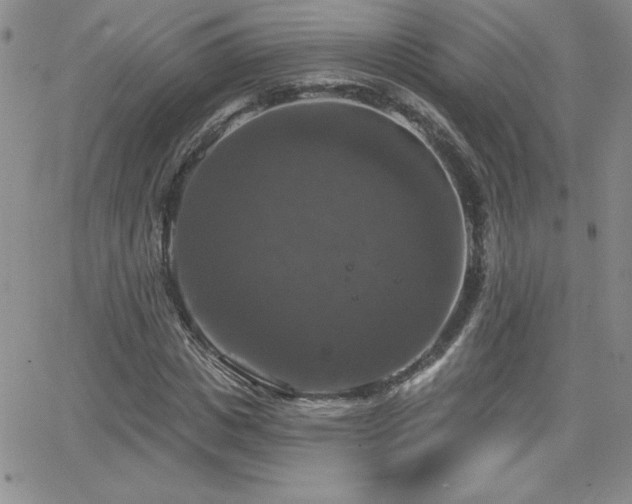 X0000066510825200603201256