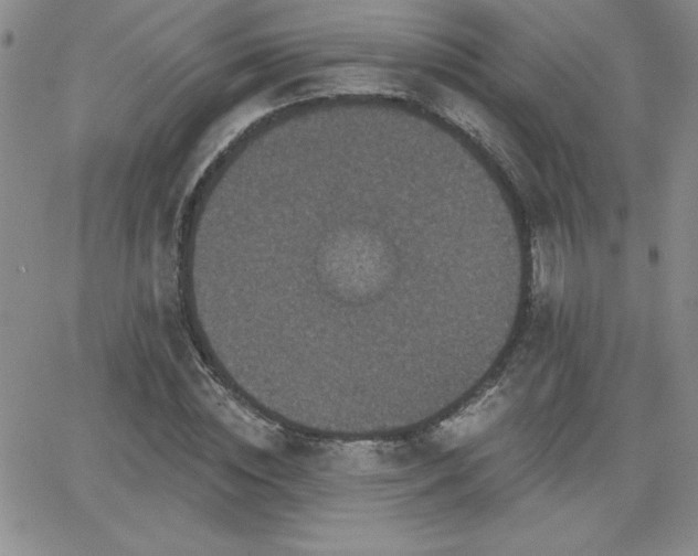 X0000066510828200603201256