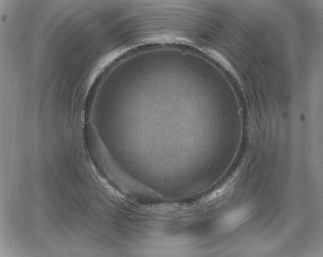 X0000066510831200603201256