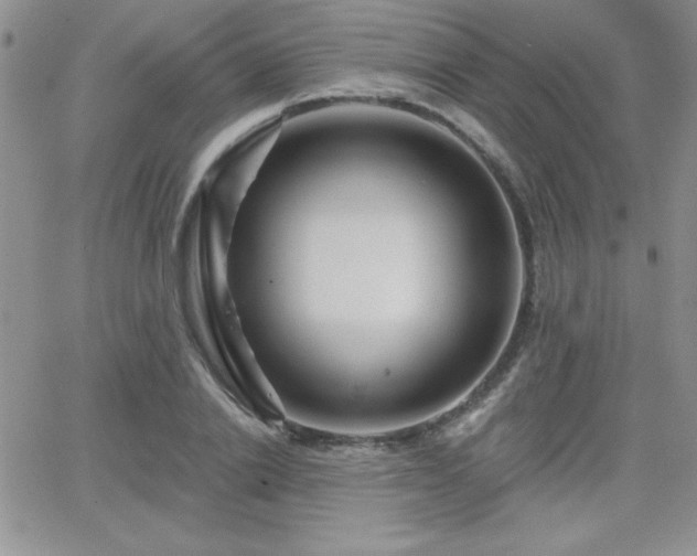 X0000066510838200603201256