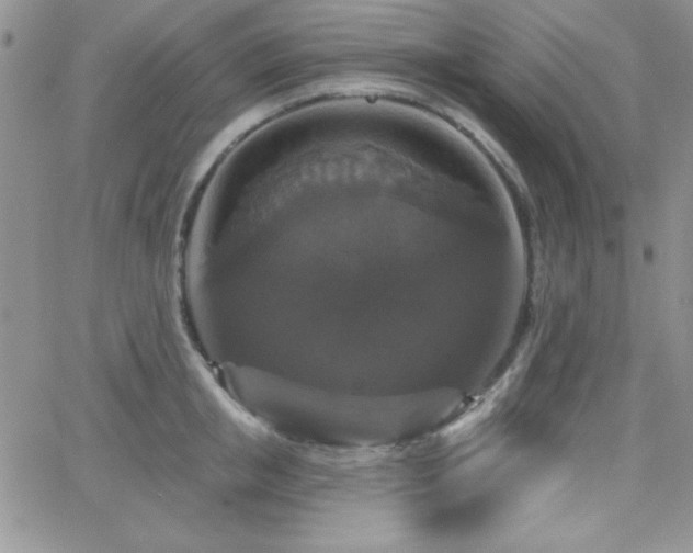 X0000066510853200603201256