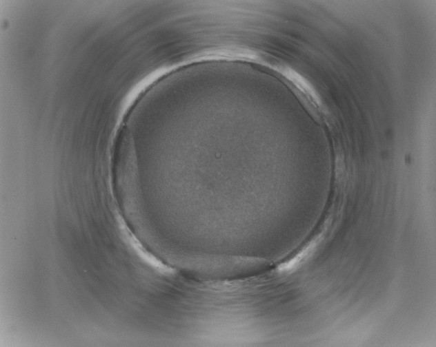 X0000066510854200603201256