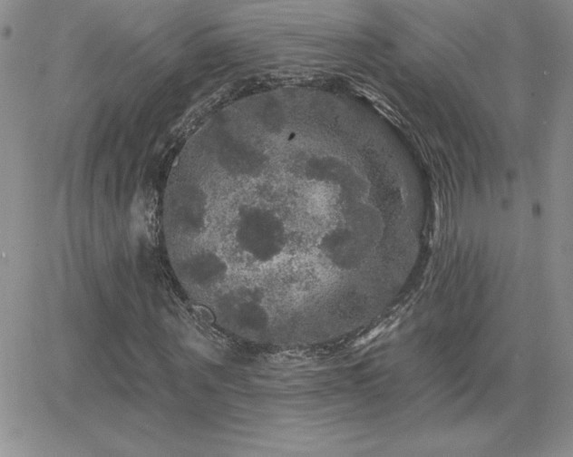 X0000066510867200603201256