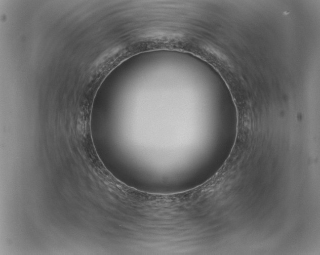 X0000066510869200603201256