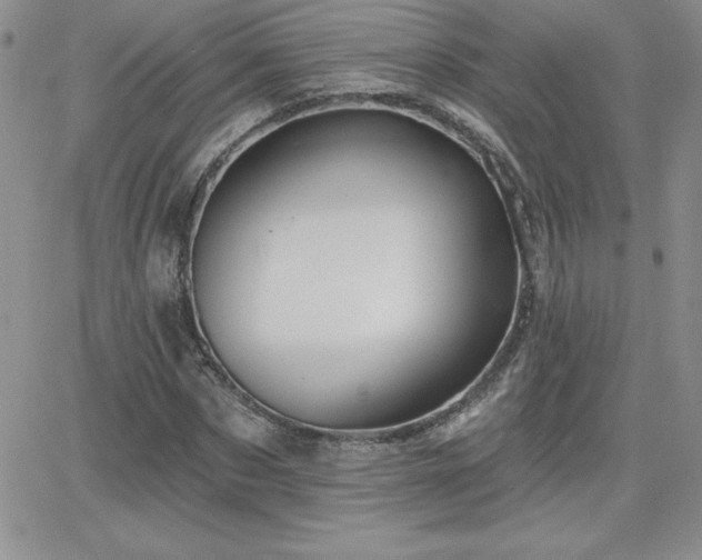 X0000066510873200603201256