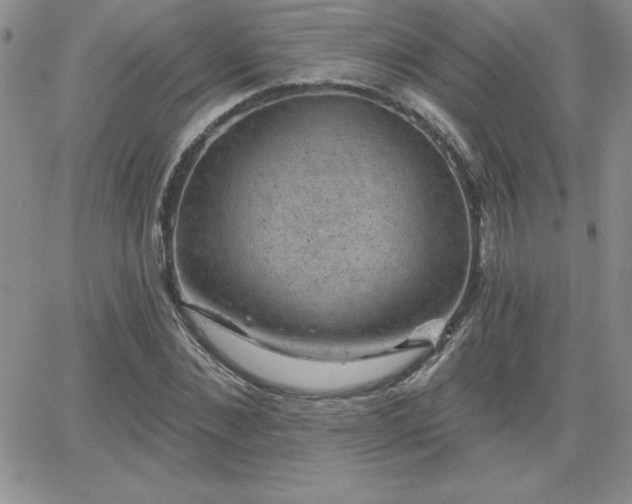 X0000066510876200603201256
