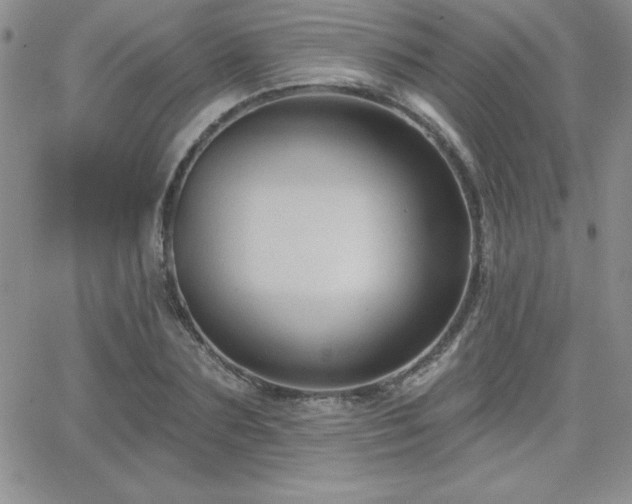 X0000066510883200603201255