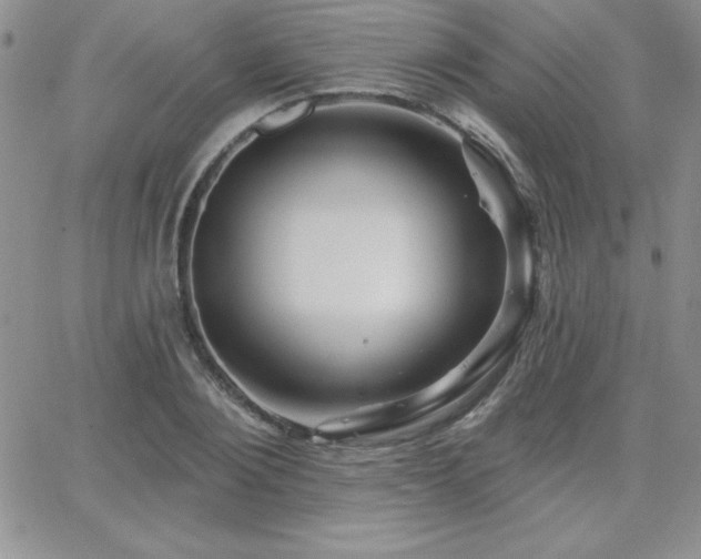 X0000066510884200603201255