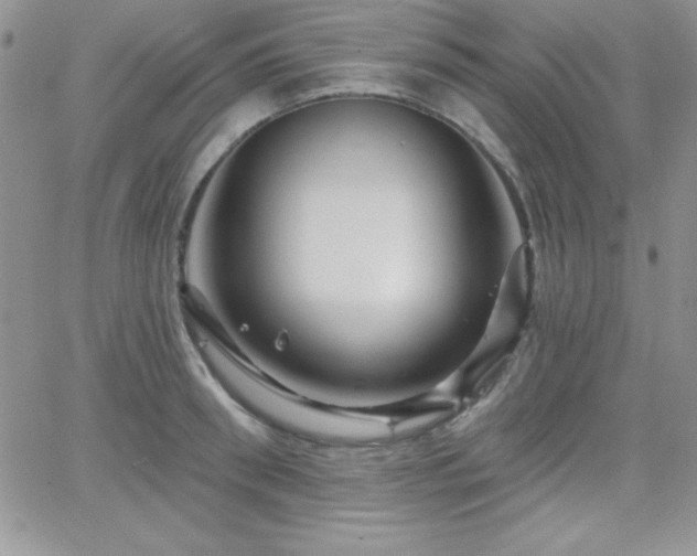 X0000066510898200603201255
