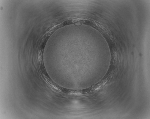 X0000066510914200603201254