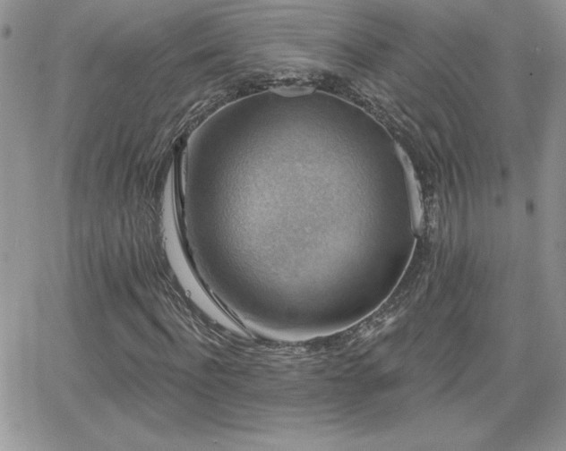 X0000066510916200603201254