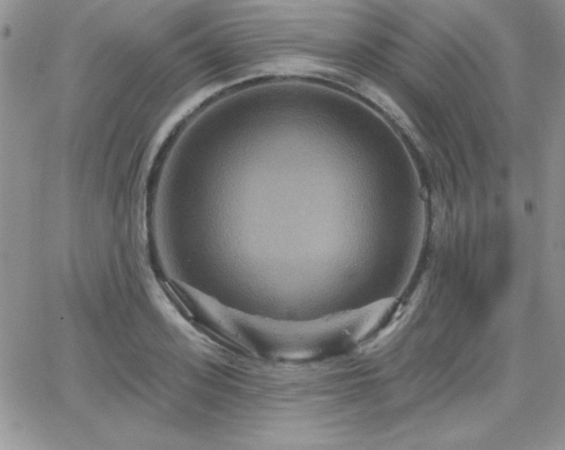 X0000066510939200603201255