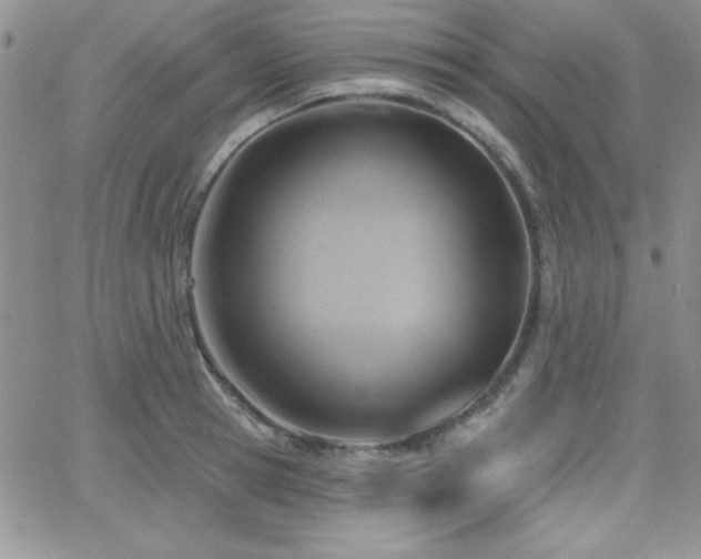 X0000066510945200603201255