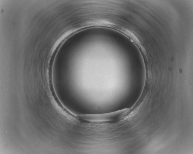 X0000066510947200603201255