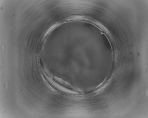 X0000066510953200603201255