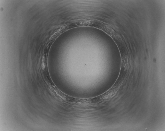 X0000066510962200603201254