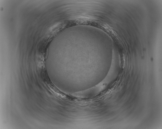 X0000066510964200603201254