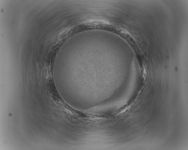 X0000066510965200603201254