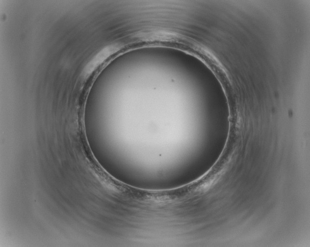 X0000066510978200603201254