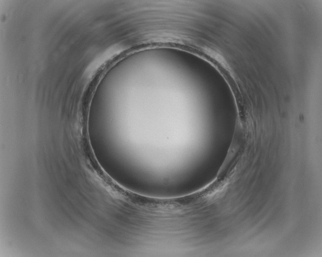 X0000066510979200603201254