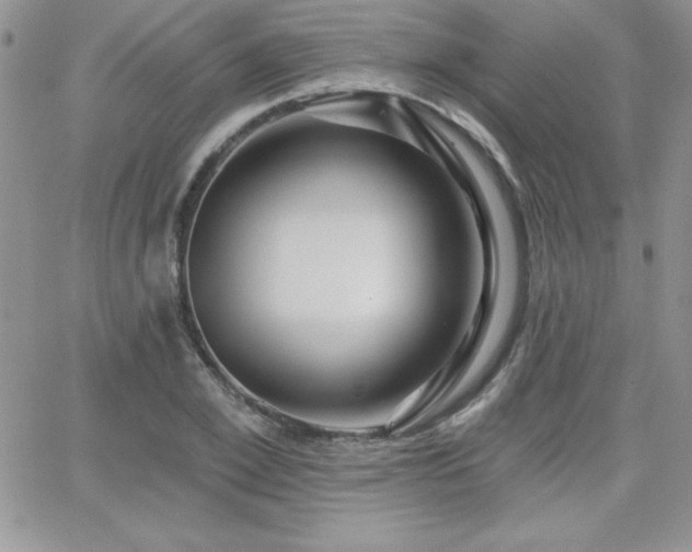 X0000066510981200603201254