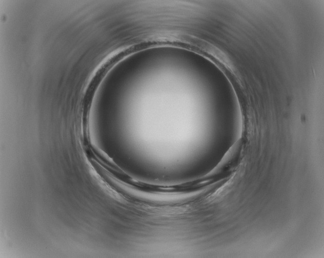 X0000066510984200603201254